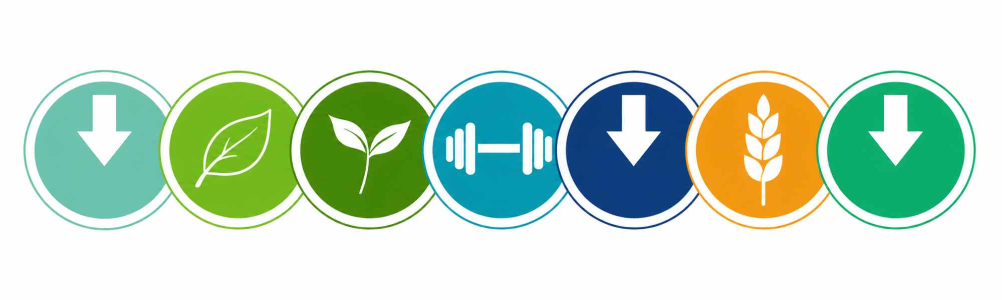 Nutritional Labels